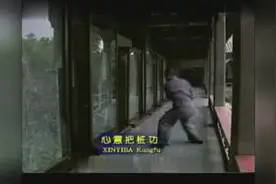 慢动作功夫教学——少林绝学心意把——释德建大师