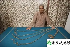 世界上最长的指甲印度老翁留指甲63年总长910公分破纪录图片