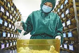 实验用动物也有福利，专家在酝酿更严格法规图片