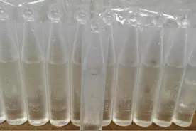 昆虫版本美人计 果蝇克星万蝇迷图片