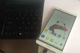 心血来潮用猫指纹做手机解锁，结果发生了悲剧！网友：从头笑到尾图片