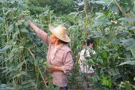 有些让人感动的事儿只能发生在农村图片