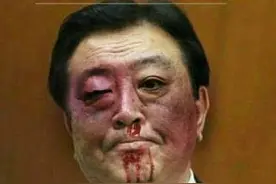 不要再斗狗了，太残忍了！图片