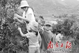 惠城区旅游协会正式成立图片