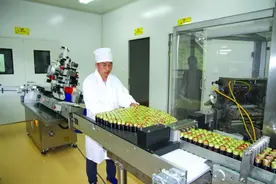 宝芝林药酒 在经开区试产图片