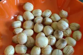 外婆家的莲子熟了，晒干后的味道更佳图片