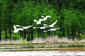 孔李淮河大桥主航道桥合龙在即|首批“新能源智能旅游房车”下线图片