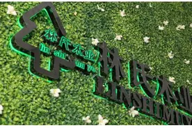 林氏木业:突破行业瓶颈, 持续布局O2O图片