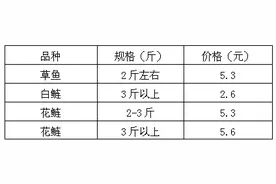 最新华中淡水鱼报价：鳊鱼、鮰鱼上涨，草鱼、花鲢下降 | 行情参谋图片