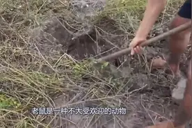 多哥食鼠文化：享受过程的乐趣视频封面