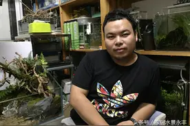 家居水景造景师必备水景知识有哪些？图片
