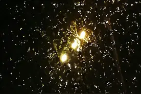 下雨天了怎么办？教你下雨天花式秀英语!图片