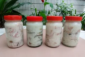 一种真正拿来吃的茶——鱼茶图片