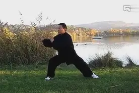 张东武太极基本功八法视频封面