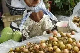 自从养了一只会卖菜的狗狗，妈妈再也不用担心菜卖不掉啦！图片