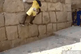 搞笑精选：路边捡的哈士奇，每次看到我都流嘴水，他是不是病了图片