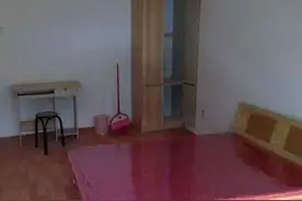 你没有一个女朋友，那是因为我有七个女朋友····图片