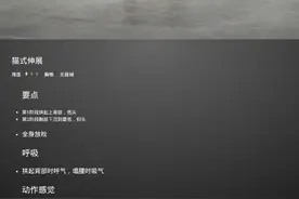 核心力量训练猫式伸展图片