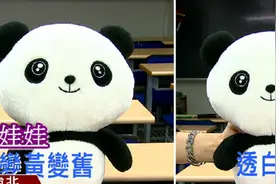 绒毛娃娃很脏怎么办？教你无需水洗，分分钟清洁溜溜！