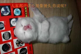 我等了二十五年，终于被我等到了吧！图片