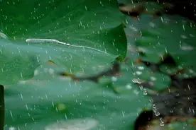 诗词鉴赏-密密初秋雨 风凉暑气收图片