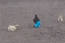 如果一个女生死活不让你去她家可能是这种情况图片