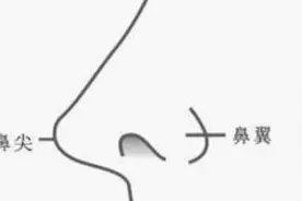 面相分析系列之：鼻翼对人财运的影响图片