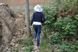 乡土情：我与农活图片