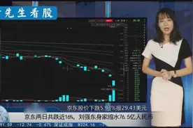刘强东身家缩水76.5亿人民币 京东股票两日跌近16%视频封面