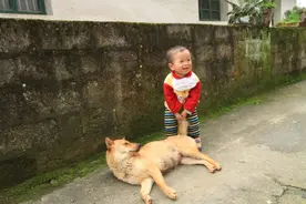 宝宝被狗吓到以后，妈妈忘记做一件事，她一直发烧图片