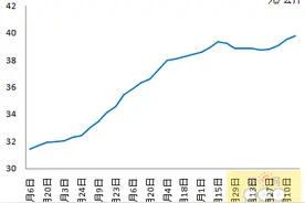 二元母猪价格突破40元/公斤，涨至今年新高图片
