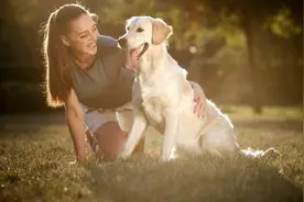 不适合在家中养狗的生肖图片