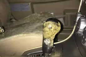 宁波有多潮？一辆浙B汽车发霉霉霉，惨不忍睹！地下车库停50天图片