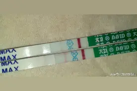 不容易啊！50支验孕棒全用完终于迎来的奇迹，接好孕！图片