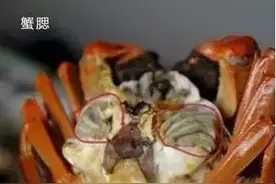 秋蟹肥美  但有四个部位不能吃图片