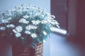 最好的时光在路上图片