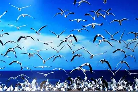全面的联系人管理软件：Outlook图片