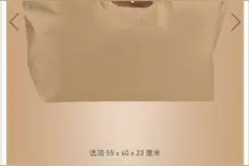 Longchamp（珑骧）饺子包图片