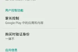 支付宝更方便 Google Play商店中国版曝光图片