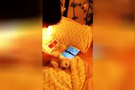 一边给汪星人揉肚子，一边跟它玩拍手歌，好有爱！视频封面