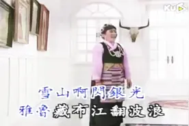习近平赞赏的藏歌金曲和经典电影 你熟悉吗？图片
