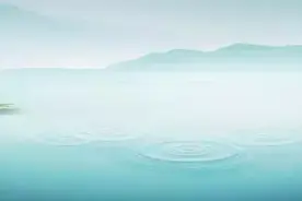 看小白如何养鱼！图片