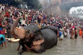 看看印度人在恒河都干了什么图片