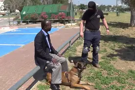 狗护卫能辨忠奸！歹徒样貌的人接近主人能准确判断谁要对主人不利图片