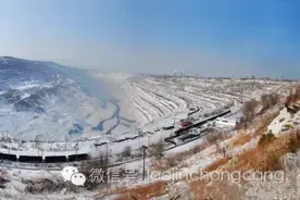 琥珀中的国产货——抚顺琥珀图片