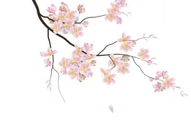 南县人的一天之我爱脚下那片土地图片