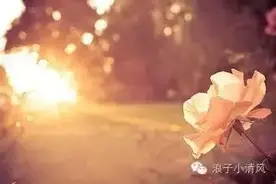 我们为什么不幸福？图片