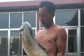 村里水塘浇地抽干了，抓这个个玩意！图片