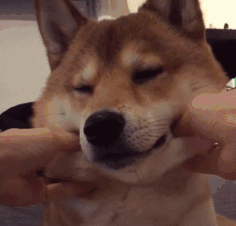 我可以捏捏你的脸吗？萌爆了图片