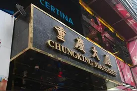 每个人都是长在森林里的树，不一样，又一样图片